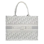 Grey Canvas Dior Book Tote