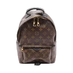 Brown Canvas Louis Vuitton Palm Springs