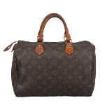 Brown Canvas Louis Vuitton Speedy