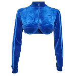 Blue Fabric Adidas Jacket