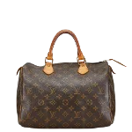 Brown Canvas Louis Vuitton Speedy