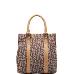 Brown Canvas Dior Handbag