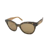 Brown Fabric Salvatore Ferragamo Sunglasses