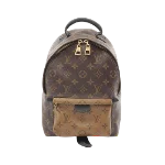 Brown Canvas Louis Vuitton Palm Springs