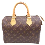 Brown Canvas Louis Vuitton Speedy