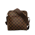 Brown Canvas Louis Vuitton Olav