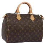 Brown Canvas Louis Vuitton Speedy